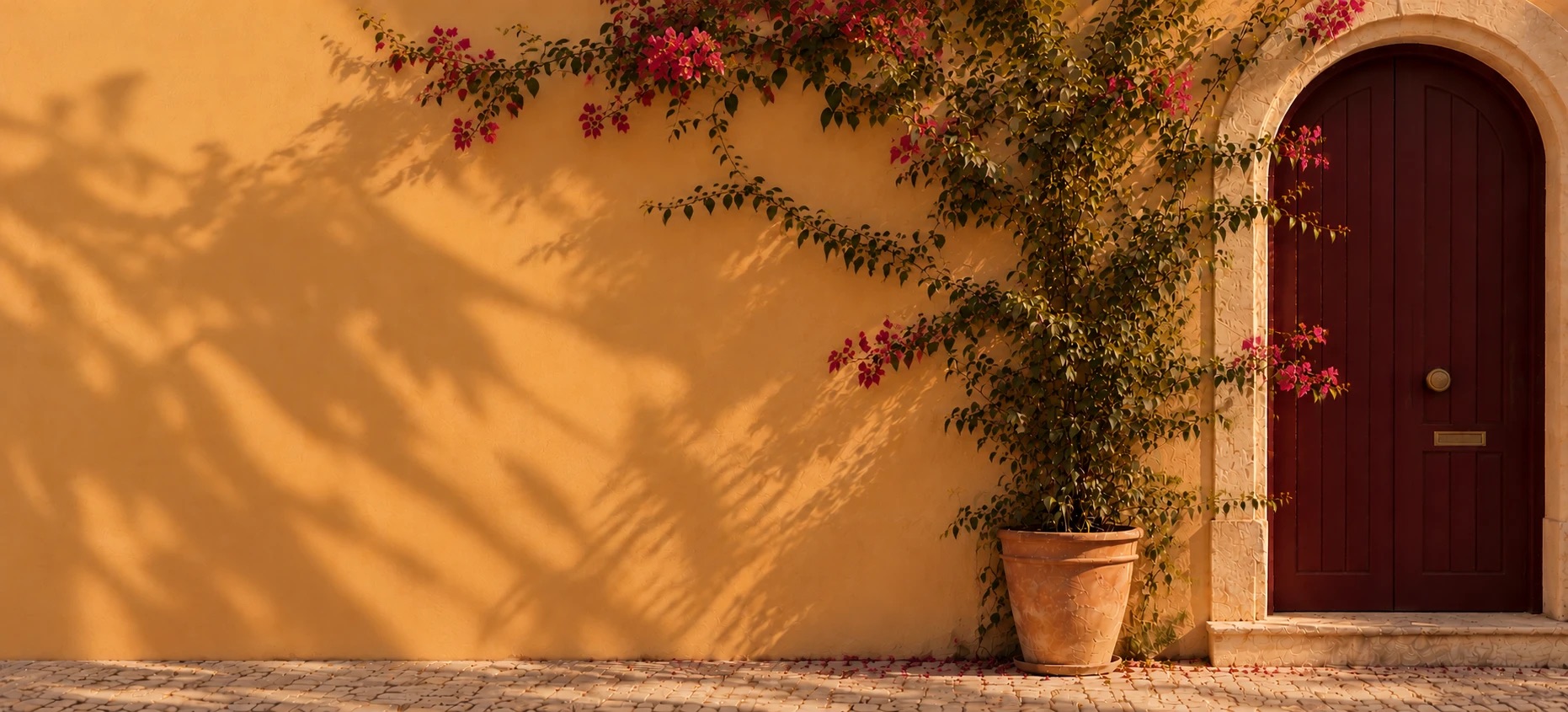 The same door, the plant in leaf with the first pink blossoms